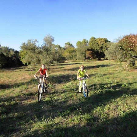 Les Olives Apartman Uzès Kültér fotó