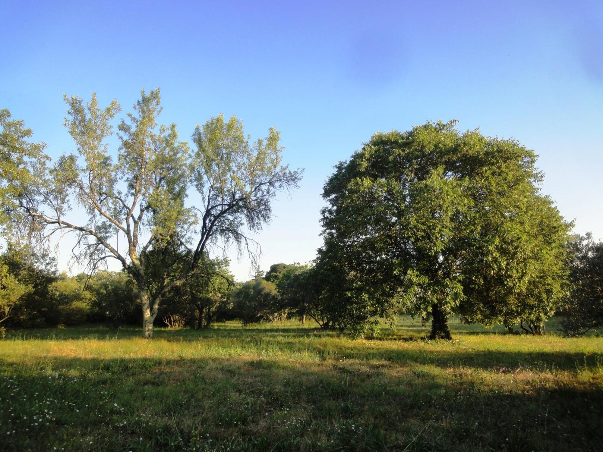 Les Olives Apartman Uzès Kültér fotó